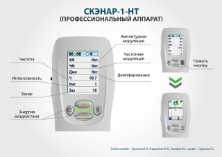 СКЭНАР-1-НТ (исполнение 01)  в Волгограде купить Медицинская техника - denasosteo.ru 